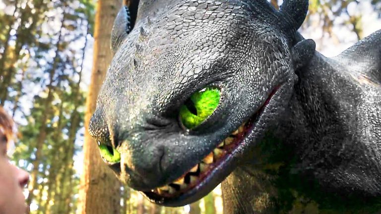 How to Train Your Dragon