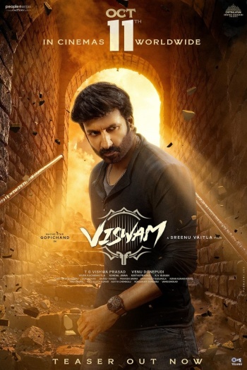 Viswam (2024) Telugu ORG Movie HDRip | 1080p | 720p | 480p | ESubs